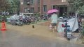 雨后积水挡家门 社区整改解民忧
