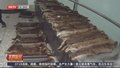 走私珍贵动物及其制品属于违法