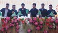 福满京城 春贺神州丨小年迎来售花高峰 50万盆高山杜鹃进京