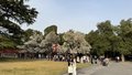五一假期空气质量优良 适宜户外活动