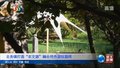 北务镇打造“农文旅”融合特色游玩路线