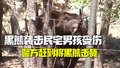 美国一黑熊袭击民宅男孩受伤 警方赶到将黑熊击毙