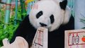 萌兰的10岁生日会主打一个五颜六色