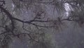 北京发布大雾黄色预警 大部分地区能见度小于1000米