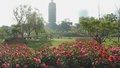 千年运河生态蝶变 北京段因地制宜开展治理唤醒水脉新生