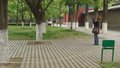 地坛公园两棵认养树引发关注 公园回应：已有游客帮续费
