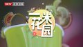一米花园｜食虫植物世界带你探索奇花异草的神奇