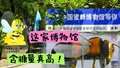 ​北京这家博物馆含糖量真高！