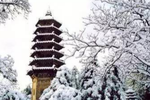 潭柘寺：北京最古老的寺庙