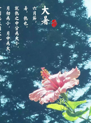 《大暑松下卧起二首》