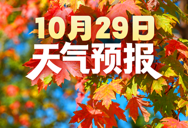 晴好在线气温回升，郊野赏秋正当时