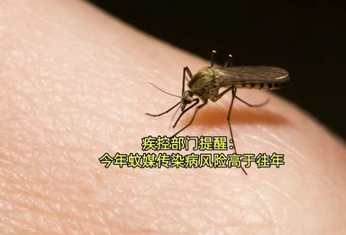 疾控部门提醒：今年蚊媒传染病风险高于往年