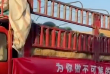 吴克群回应派发西瓜被指作秀