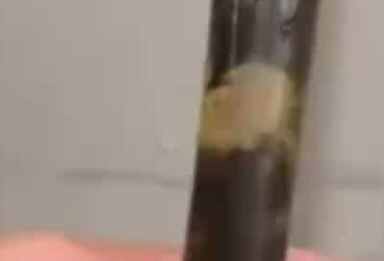 酒店洗澡发现淋浴管内满是黑垢，酒店回应