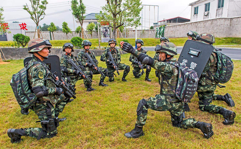 动如脱兔!看我武警战士疾速战术动作