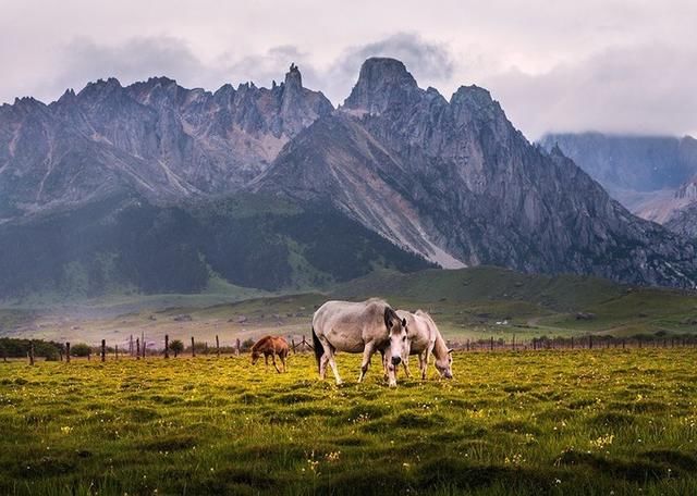 四川神级冷门景点简直太可怕了! !看完我不得不