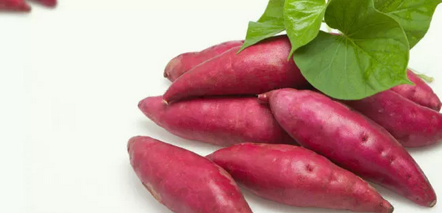 溯源大业又双叒叕传喜讯!助力山东柳絮集团华