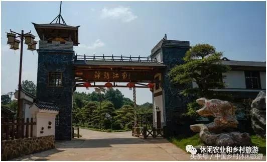 乡村振兴商机无限,未来十年,你拼什么?