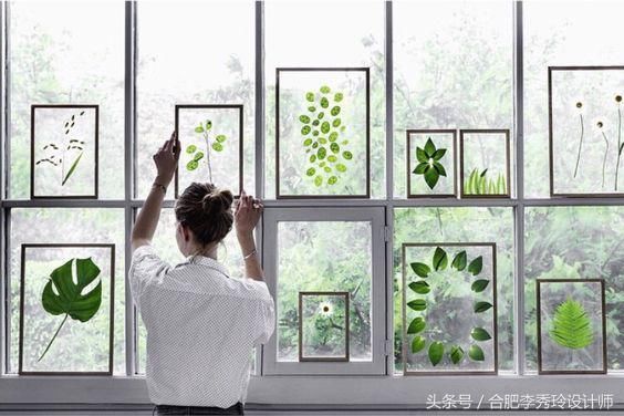 绿萝不养在盆里,这样挂在墙上,比照片墙还漂亮