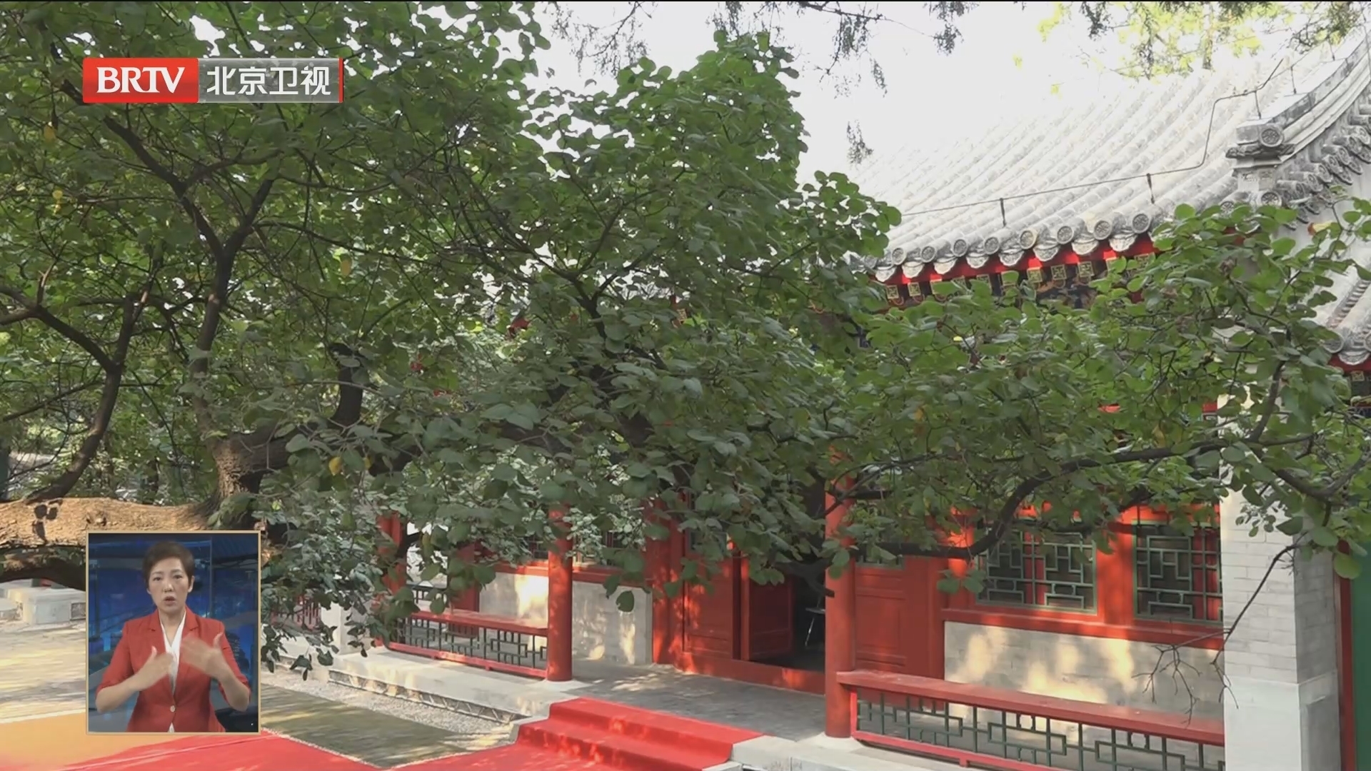 构建文物价值研究阐释体系 三山五园研究基地成立