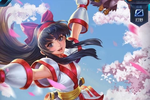 王者荣耀当前版本5大强势刺客排名,第一名你估