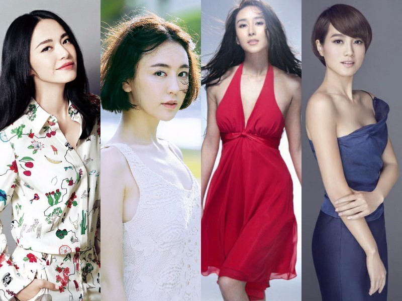 姚晨吕佳容胡静朱丹 谁是娱乐圈律政第一佳人(图1)