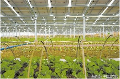 2018年国家对光伏农业大棚有哪些补贴?一个大