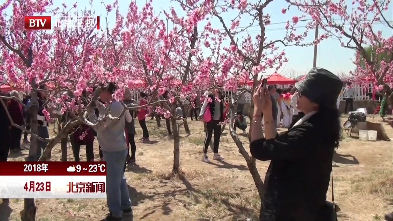 北京市平谷区王辛庄镇“第三届太后民俗美食季”开幕 北京市平谷区王辛庄镇“第三届太后民俗美食季”开幕