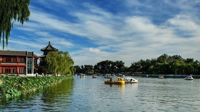 花海、绿荫、清风……北京夏日美景已就位,快快开启一次骑行之旅吧! 花海、绿荫、清风……北京夏日美景已就位,快快开启一次骑行之旅吧!