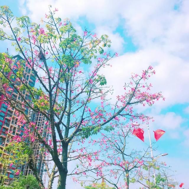 5款心机P图软件,其实这才是网红的整形利器!