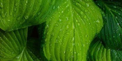 高考失利:复读一年还是以后考研?靠这三点才能