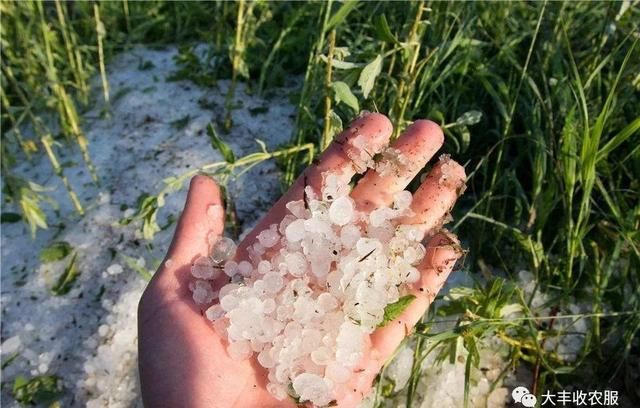 2018年购买农业保险,一亩地政府补贴多少?