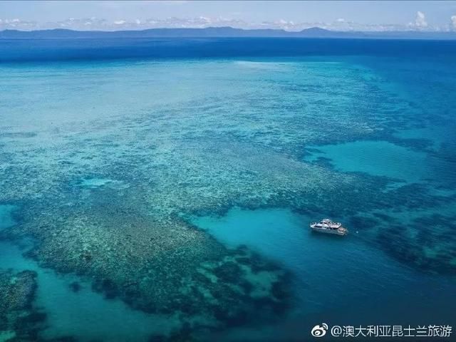 全世界真正的美人鱼哪里多?原来就在澳大利亚