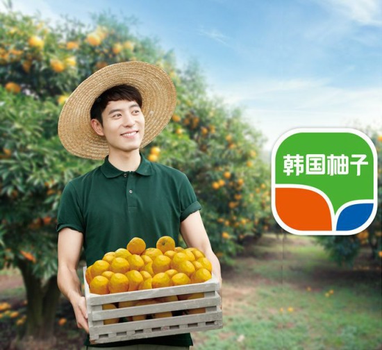 揭露好柚柚子茶连续5年持续攀升的秘密 揭露好柚柚子茶连续5年持续攀升的秘密