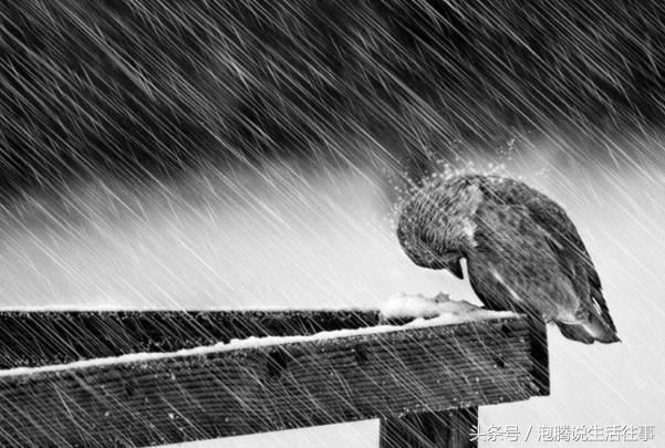 谁的孩子谁带,谁的父母谁养,几年后我把这句话