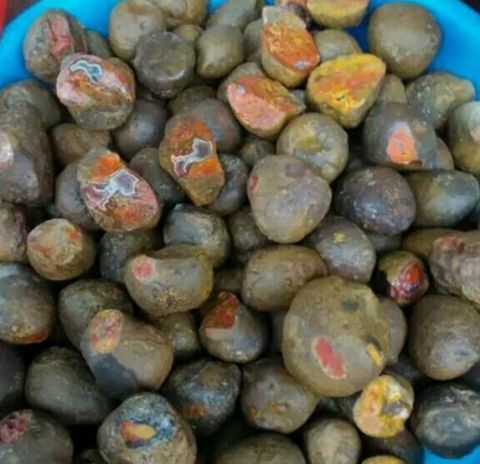 大叔在山上捡回一堆石头,砸开后,两眼发光了