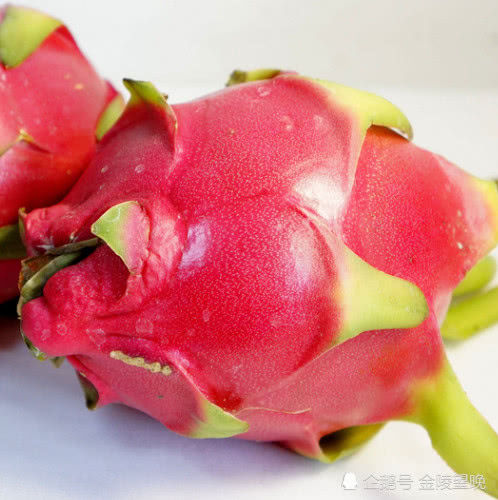 白心火龙果好还是红心火龙果好,养生专家教你