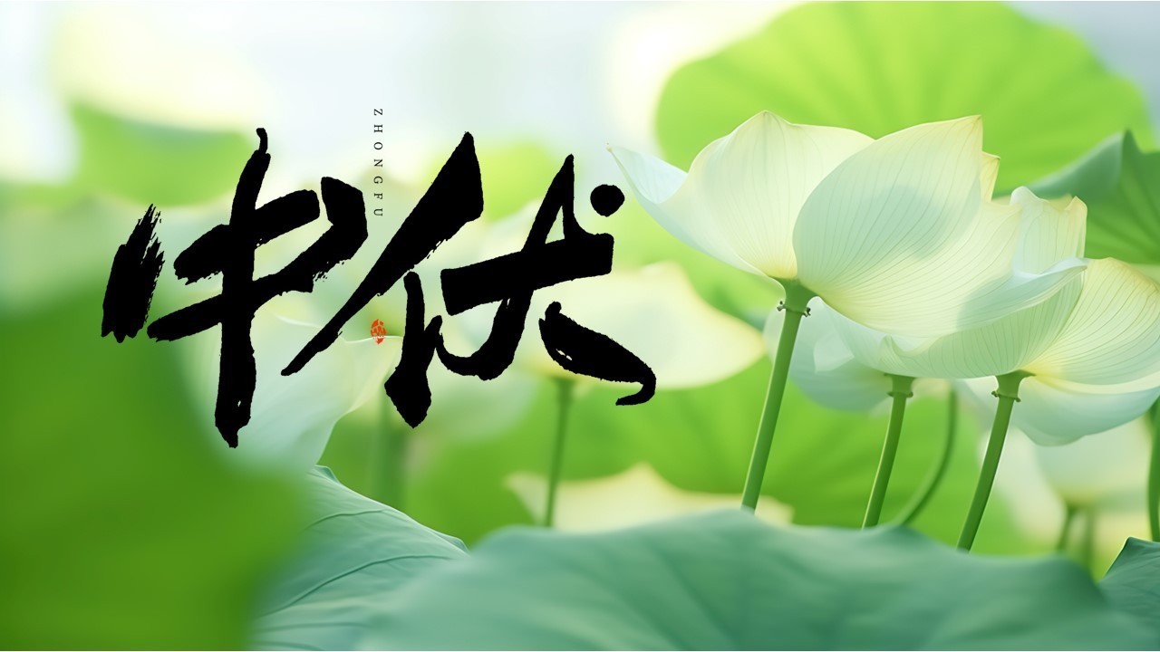 中伏来啦!调理饮食安然过暑伏_北京时间
