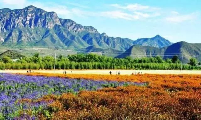 北京哪个区最富?哪个区最穷?最新GDP排名,没