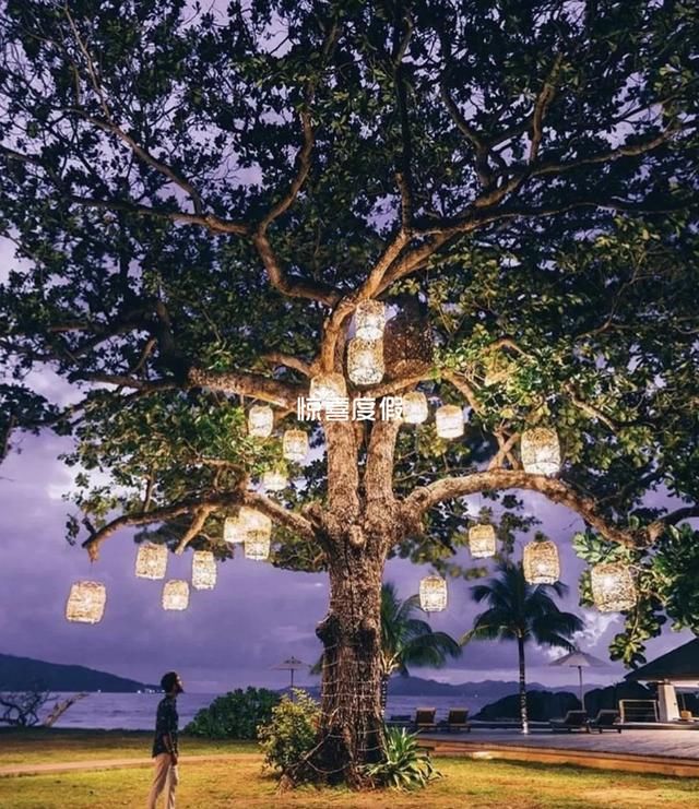 塞舌尔六善|私人直升飞机接送,和迪丽热巴睡同