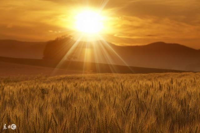 大器晚成的八字格局有哪些?盲派秘传八字断命