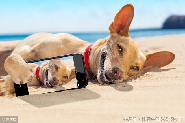 开心一笑:80个短笑话