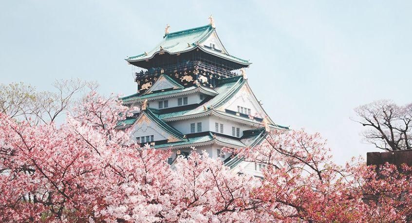 日本80%民宿下架,酒店价格暴涨,不如住庙里!3