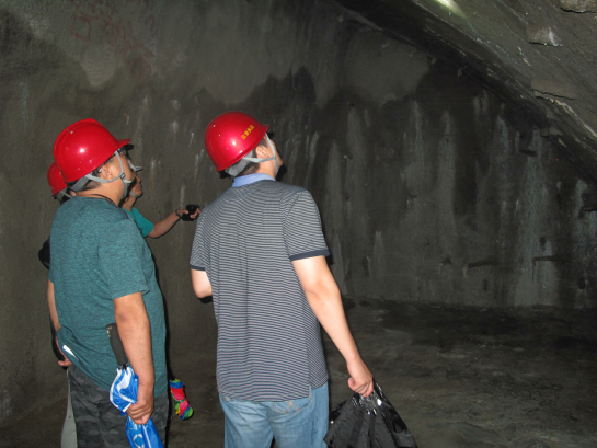 检查停工期间掌子面封闭情况