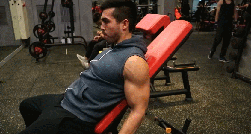 5个经典的二头锻炼动作,赶紧学起来,让你的二头充满泵感