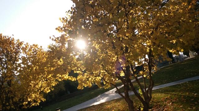 过年15句刷屏朋友圈或励志或搞笑的句子,有哪