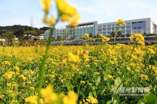 其他選擇:福州花海公園,福州八一公園,閩侯孔元村等.