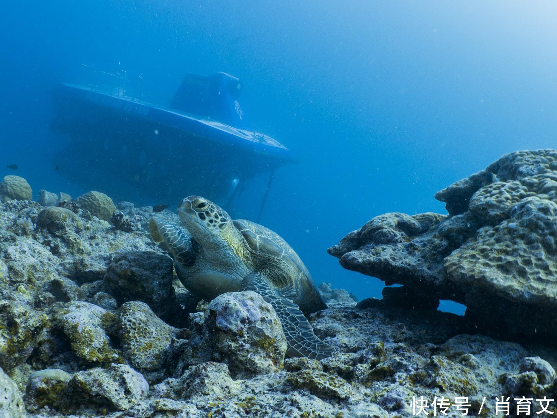 元旦出境旅游旺季来了,和你心爱的人一起在毛