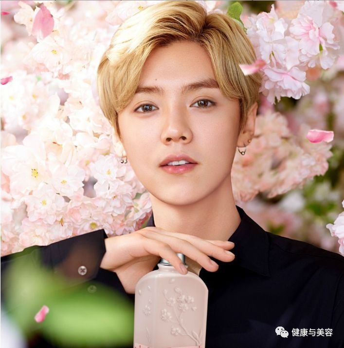 杨幂陈伟霆去日本赏樱花,踏青照原来要这么拍