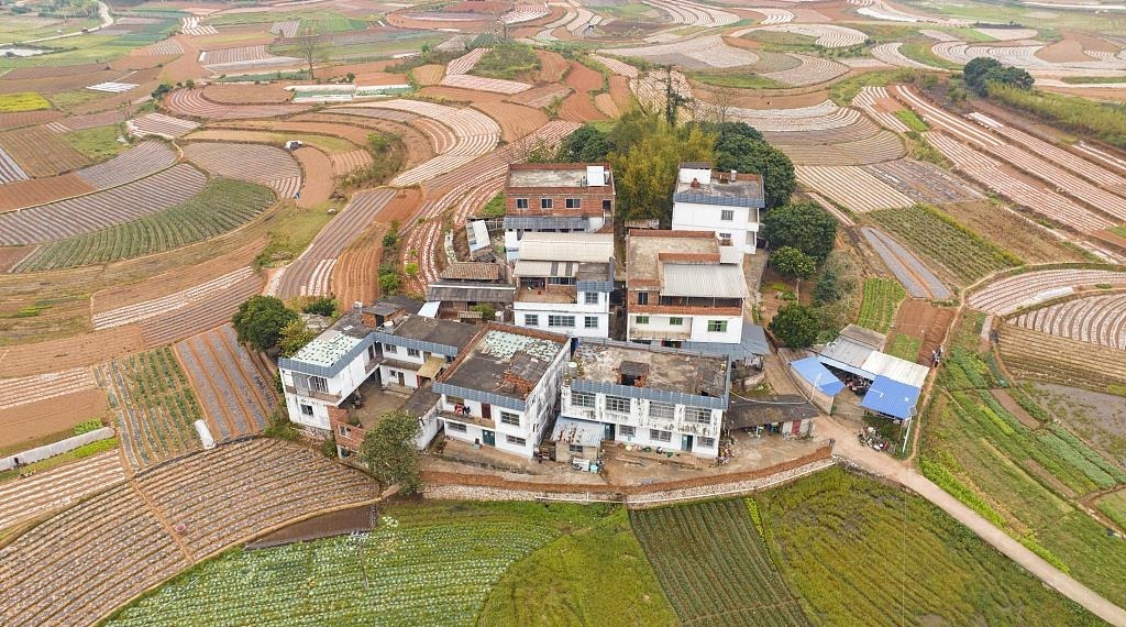 春耕时节，广西南宁市邕宁区蒲庙镇新生村，农民们正在抢抓农时做好春耕备耕，从高空俯瞰，一块块线条优美的田地犹如大地调色板。